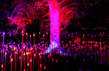 Festival-Praga – El Digital de Asturias