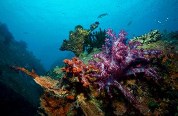 islas de Similan en Tailandia – El Digital de Asturias