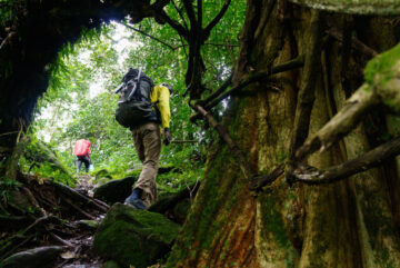 viajar-zonas-de-riesgo – El Digital de Asturias