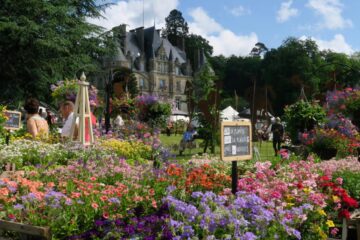 Jardines-Normandia – El Digital de Asturias