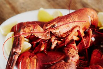 pesca-de-la-langosta-en-las-Islas-de-la-Magdalena – El Digital de Asturias