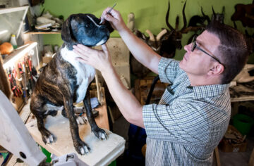 taxidermia-Curiosidades – El Digital de Asturias