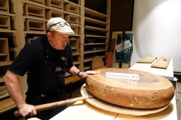 sabores-del-queso – El Digital de Asturias