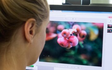 trabajar-con-apps – El Digital de Asturias