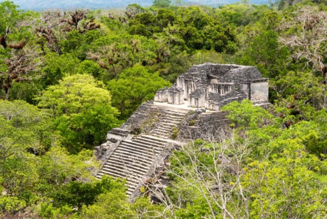 Tikal-dpa – El Digital de Asturias