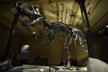dinosaurio-Tristan-Otto-dpa – El Digital de Asturias