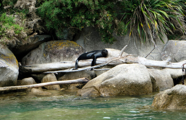 Parque-Abel-Tasman-dpa – El Digital de Asturias