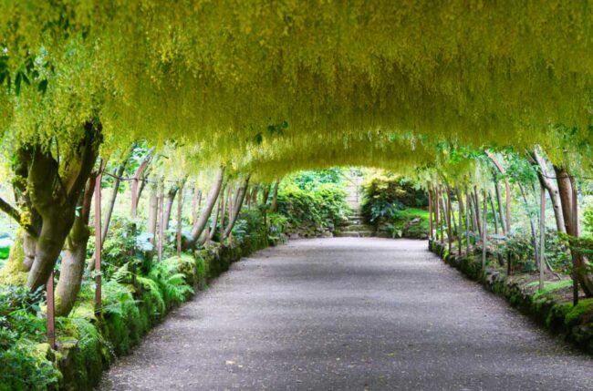 Jardines-Gales – El Digital de Asturias