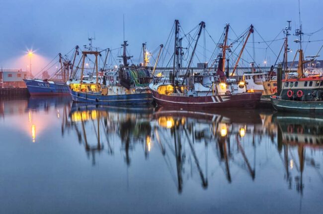 Holanda-noche – El Digital de Asturias