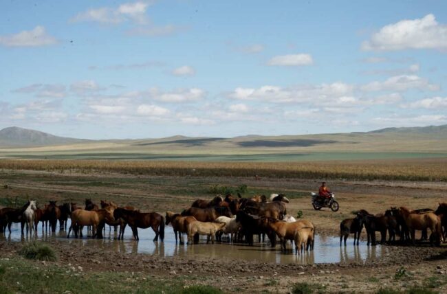 Mongolia-dpa – El Digital de Asturias