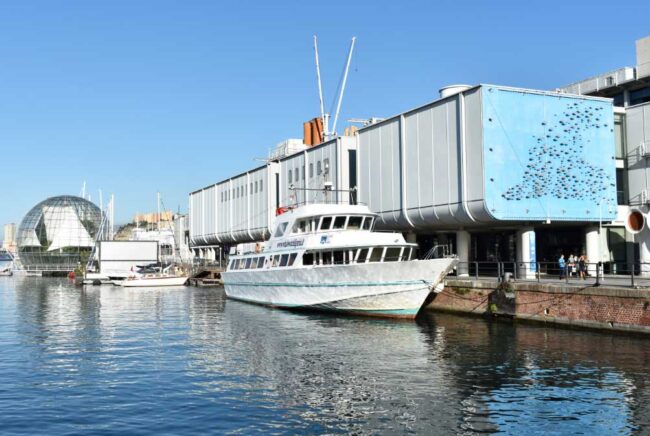 Genova – El Digital de Asturias