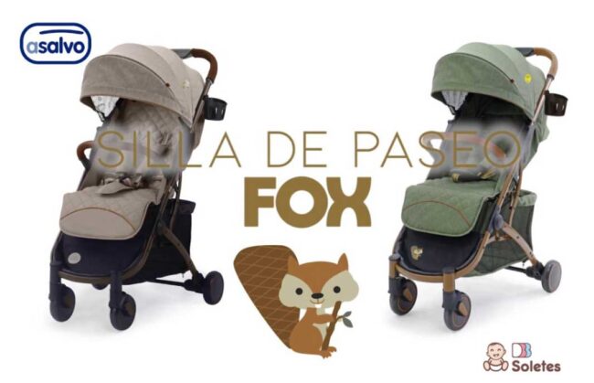 Silla-de-paseo – El Digital de Asturias