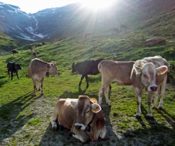 Livigno – El Digital de Asturias