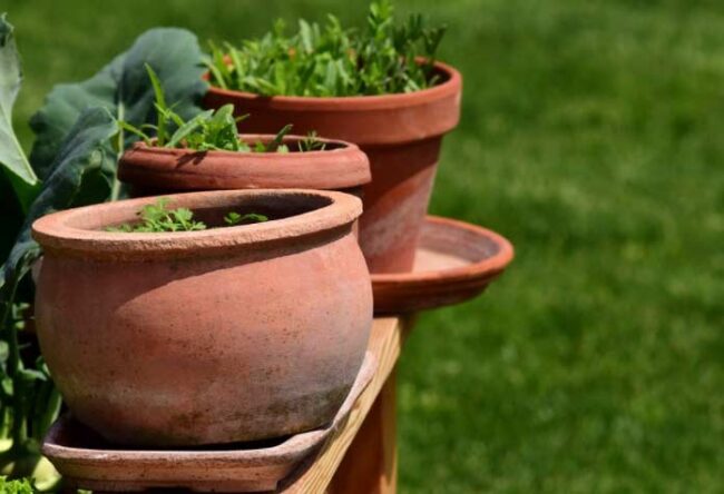 maceteros grandes