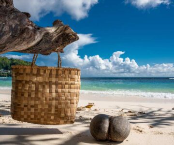 Coco-de-mer – El Digital de Asturias