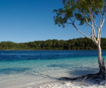 El lago McKenzie