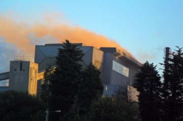 ZONA FOMENTO GIJON ASTURIAS zona fomento gijon asturias: