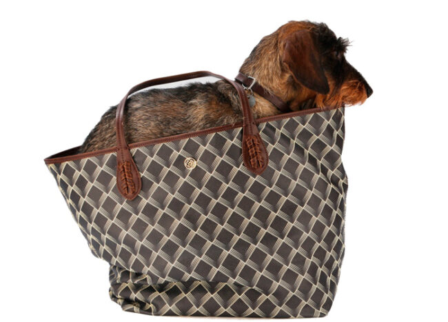 LONBALI – Magazine 365 bolsos con iniciales
