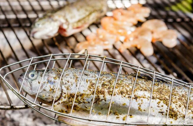 pescado – Magazine 365 pescado