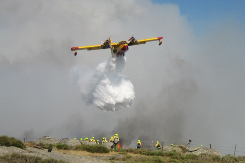 171013MediosextincinI El Digital de Asturias