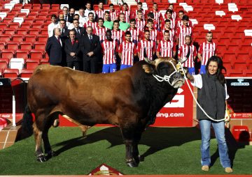 LA PLANTILLA DEL SPORTING POSA EN EL MOLINÓN CON LAS MEJORES RESES ASTURIANAS
