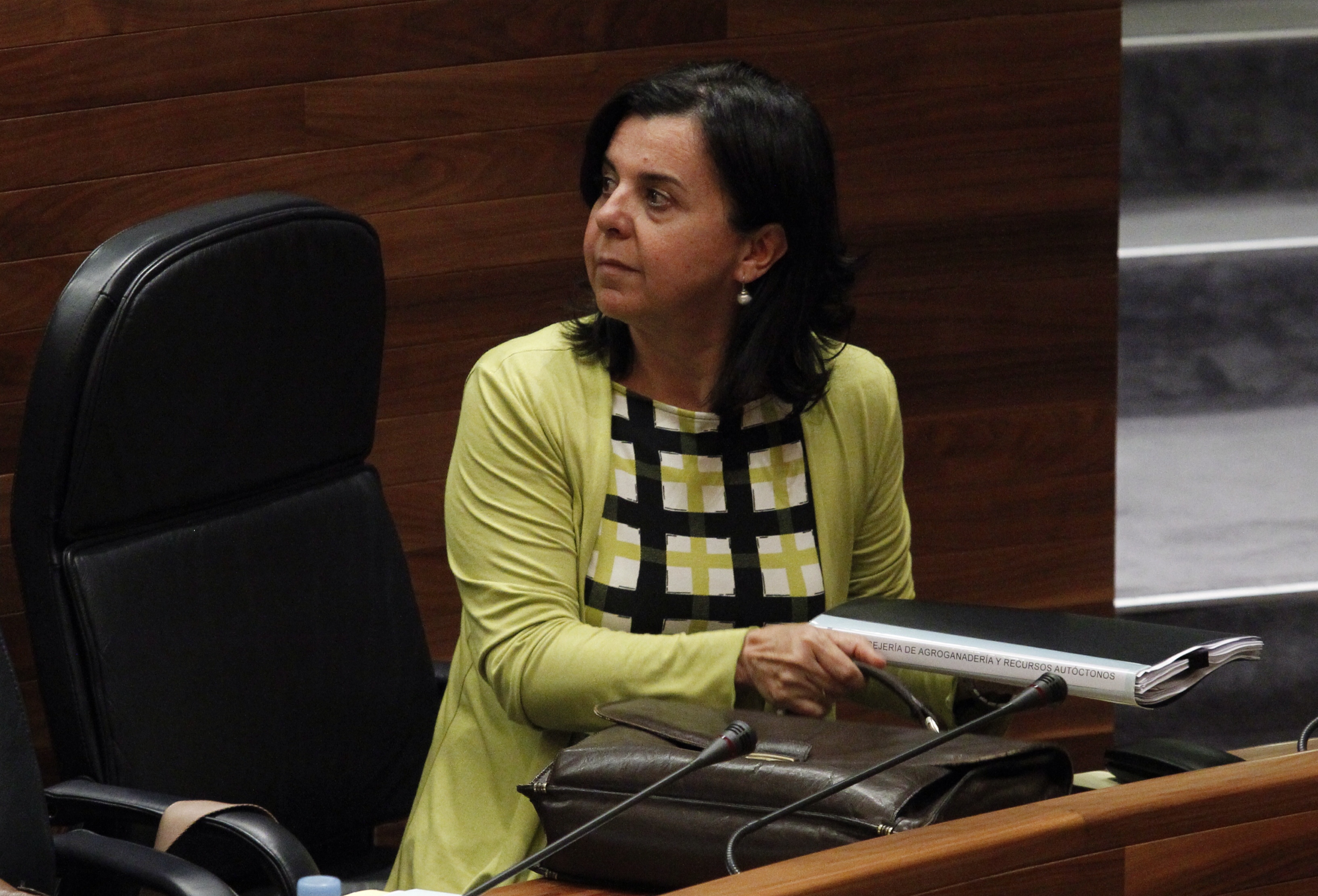 Alvarez 1 El Digital de Asturias