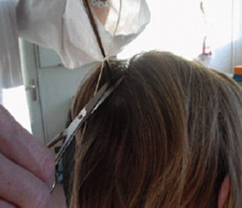 Microsoft Word - fotos-pelo