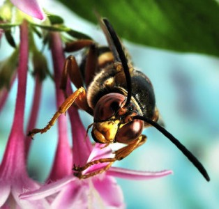 El-secreto-de-la-memoria_image_380