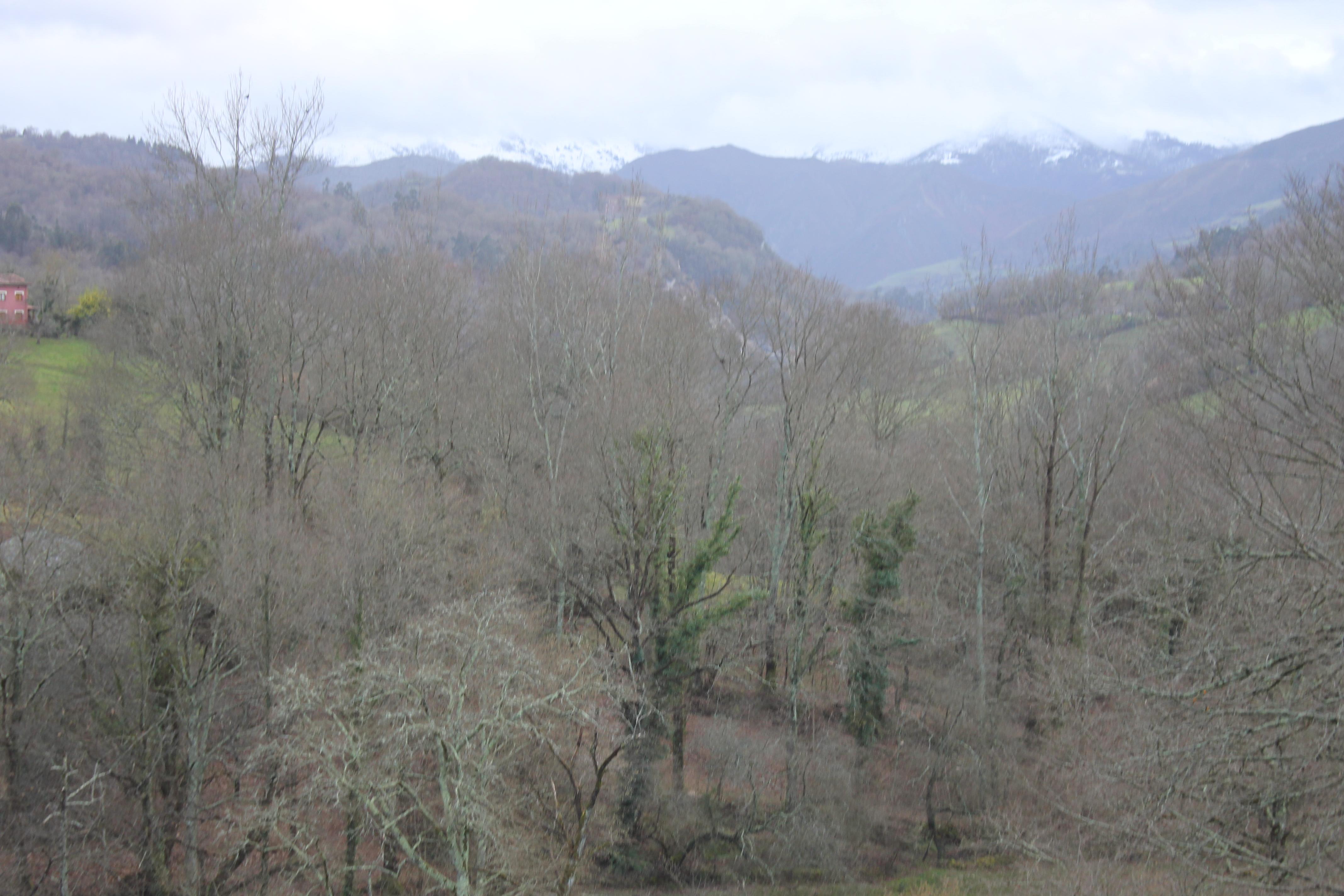 EsteliPi El Digital de Asturias