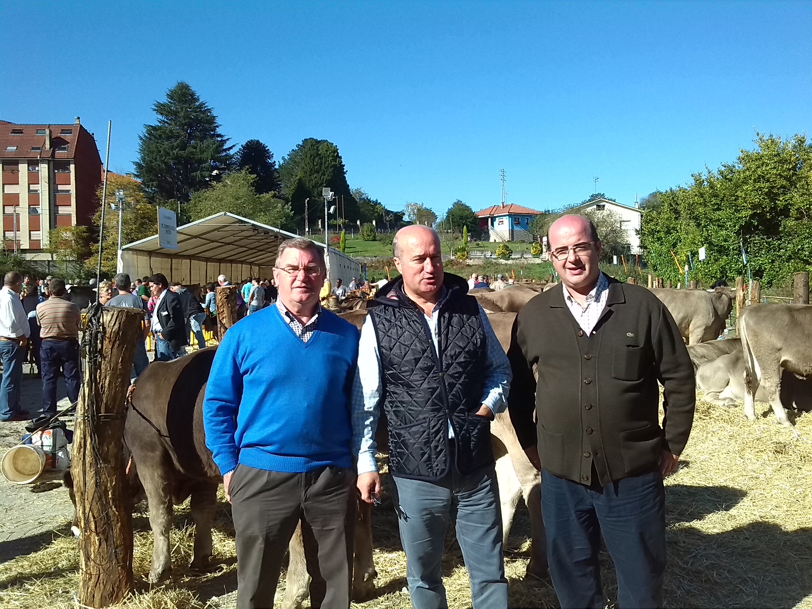 Feria ganadera de Nava261013 El Digital de Asturias