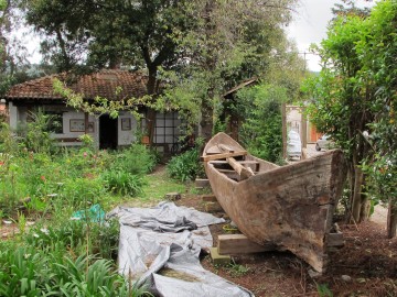 Lagunen, Kanäle, Flüsse: Paddeln wie die Mayas