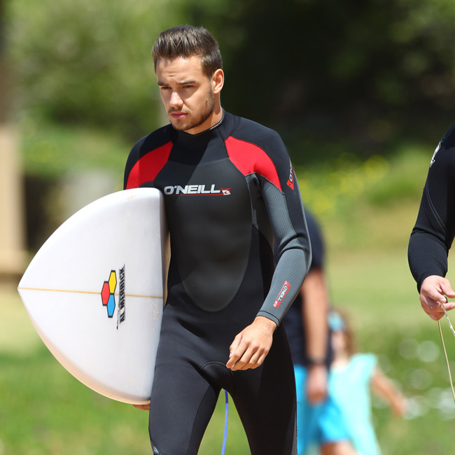 Liam Payne and Louis Tomlinson go surfing El Digital de Asturias