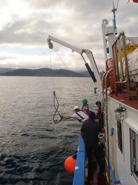 LossedimentosdelaszonasportuariasydeastillerosdeGaliciapresentanunacontaminacionaltaporcobreimage380 El Digital de Asturias