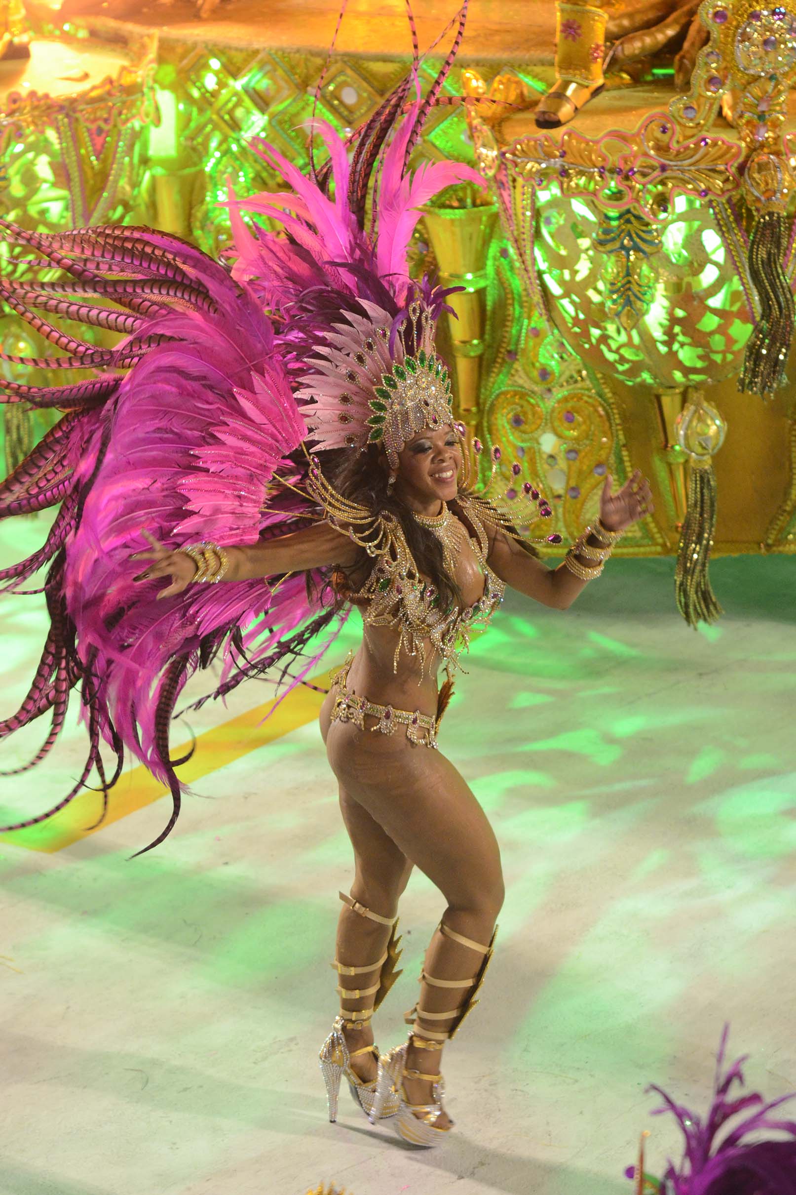 Parade of Samba Schools of Rio de Janeiro 2013