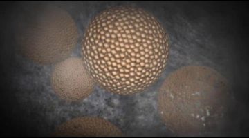 Una-marca-de-agua-unica-en-un-meteorito_image648_365