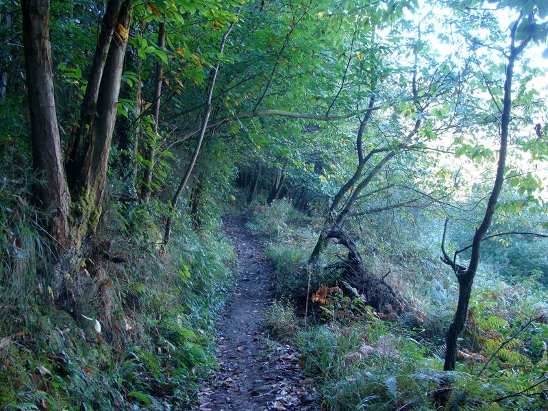 camino  El Digital de Asturias