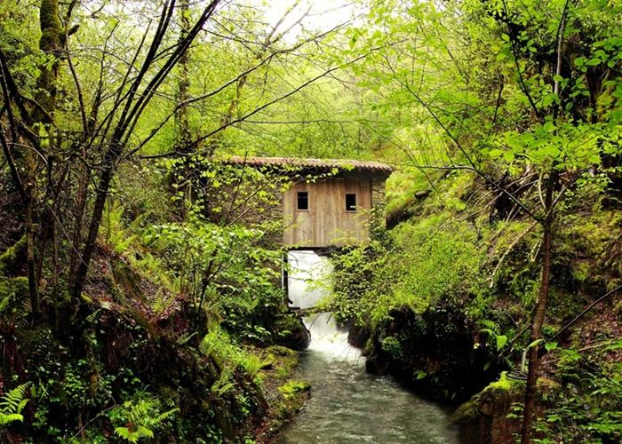 Menorca acoge el I Foro de Turismo y Naturaleza