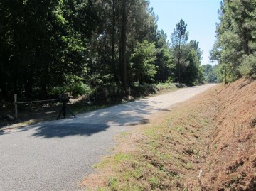 fotonoticia_20131004132549_800