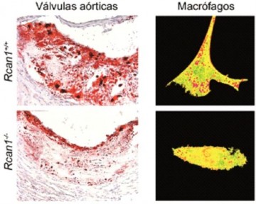 fotonoticia_20131015103057_800