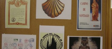 imagenes_IMG_0773_33cdf40a