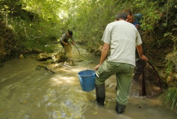 imagenes__MG_8244_redimensionar_efb3f7d5