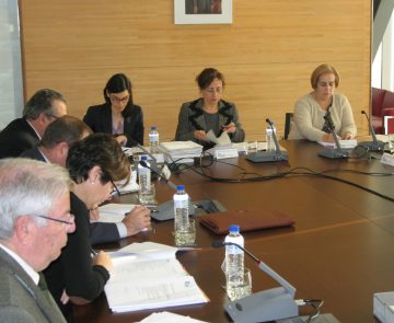 2013_11_20 consejo Zalia_1