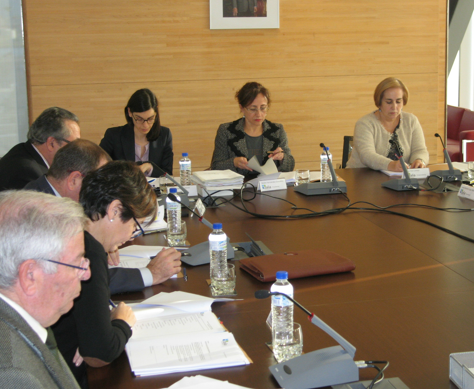 20131120 consejo Zalia1 El Digital de Asturias