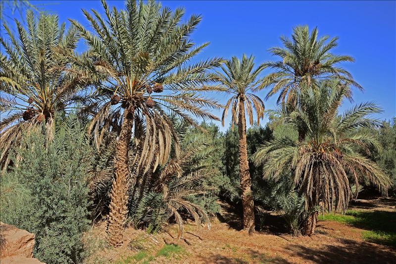 5699431w El Digital de Asturias