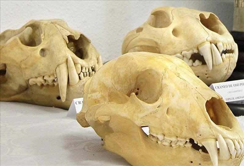 5729381w El Digital de Asturias