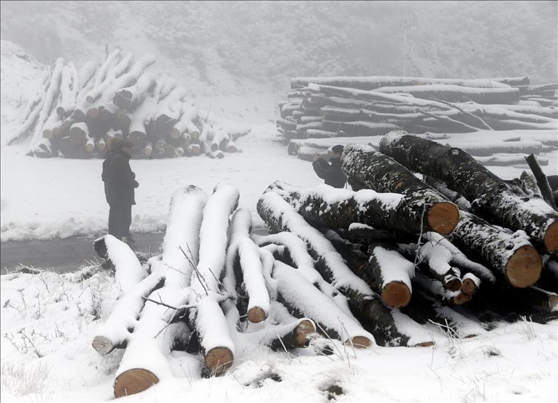 5730194w El Digital de Asturias