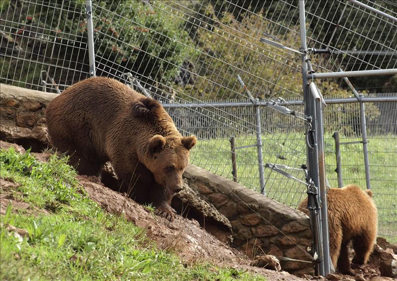 5730309w El Digital de Asturias