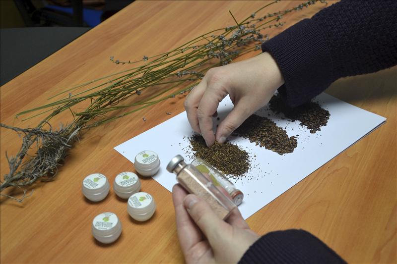 5749837w  El Digital de Asturias