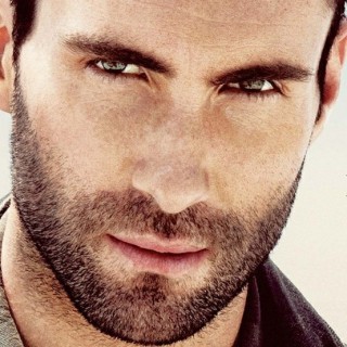Adam Levine biography