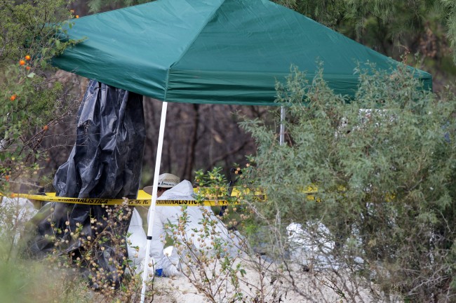 Alleged murder victims unearthed in mass graves - Mexico